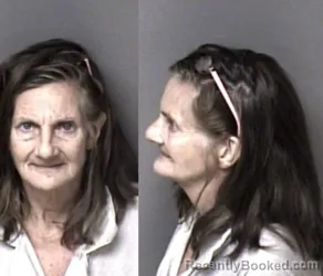 Mugshot of Amy Francum Welch booked in Gaston County, North Carolina on August 9, 2026