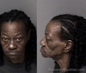Mugshot of Cindy Hampton James booked in Gaston County, North Carolina on April 16, 2026