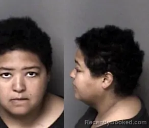 Mugshot of Cissy Lee Collins