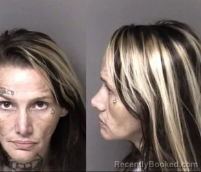 Mugshot of Courtney Shea Landers booked in Gaston County, North Carolina on October 13, 2026