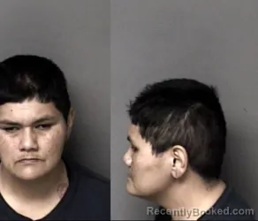 Mugshot of Phuong Ngoc Nguyen