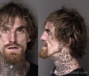 Mugshot of James Wesley McAlister