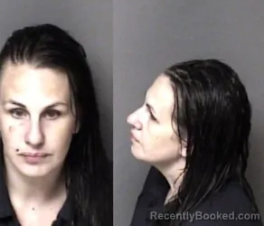 Mugshot of Megan Christine Collins booked in Gaston County, North Carolina on August 4, 2026