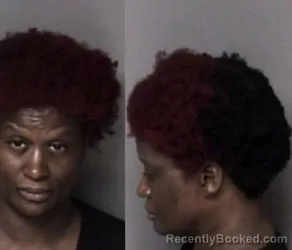 Mugshot of Rashidah Muhammad Greene booked in Gaston County, North Carolina on August 3, 2026