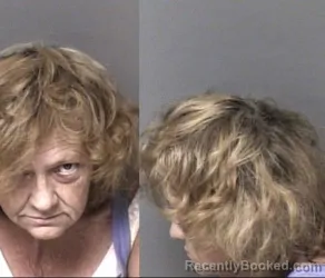 Mugshot of Michele Leigh Robles booked in Gaston County, North Carolina on August 4, 2026