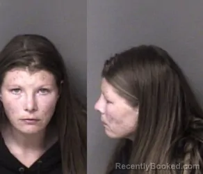 Mugshot of Shana Leann McDaniel booked in Gaston County, North Carolina on March 29, 2026