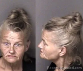 Mugshot of Aundria Niccole Wilkey booked in Gaston County, North Carolina on May 24, 2026