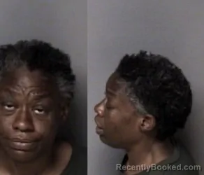 Mugshot of Heather Renee Quinn booked in Gaston County, North Carolina on March 27, 2026