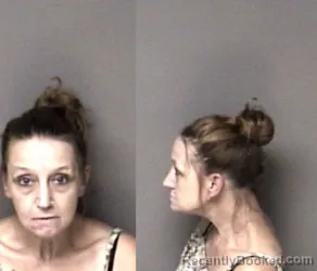 Mugshot of Brandi Leigh Erwin booked in Gaston County, North Carolina on October 14, 2026