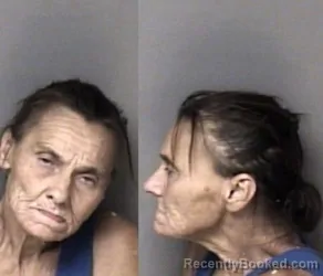 Mugshot of Katherine Wilson Sanders booked in Gaston County, North Carolina on August 4, 2026