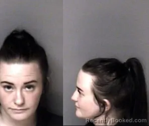 Mugshot of Joni Layne Williamson booked in Gaston County, North Carolina on June 1, 2026