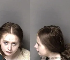 Mugshot of Melody Marie Hill booked in Gaston County, North Carolina on March 8, 2026