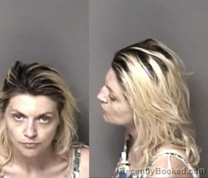 Mugshot of Natasha Lynn Davis booked in Gaston County, North Carolina on July 27, 2026