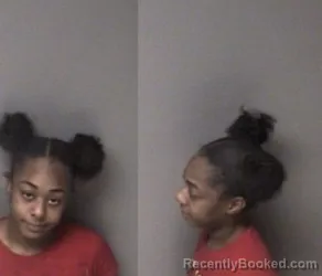 Mugshot of Amari Nicole Newton booked in Gaston County, North Carolina on March 31, 2026