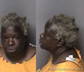 Mugshot of Fannie Marie Cobb booked in Gaston County, North Carolina on August 1, 2026