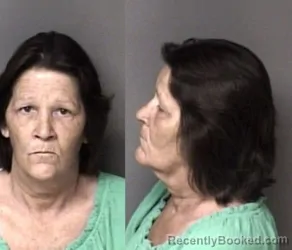 Mugshot of Michelle Dollinger Taylor booked in Gaston County, North Carolina on August 10, 2026