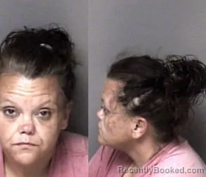 Mugshot of Wendy Michelle Simmonds booked in Gaston County, North Carolina on August 4, 2026
