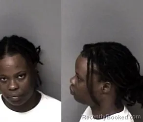 Mugshot of Suzette Gardenier Wright