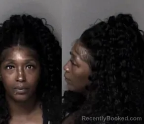 Mugshot of Natasha Faye Sterling booked in Gaston County, North Carolina on March 15, 2026