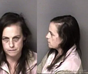 Mugshot of Ashley Lynn Dye booked in Gaston County, North Carolina on October 23, 2026