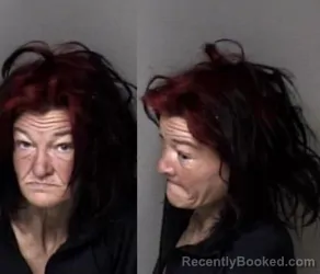 Mugshot of Jamie Lorraine Drake