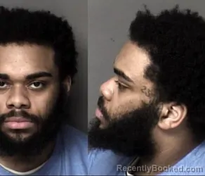 Mugshot of Mason Tyler Williams