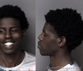 Mugshot of Raesean Day Norris