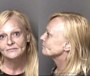 Mugshot of Tania Renee Alexander booked in Gaston County, North Carolina on July 29, 2026