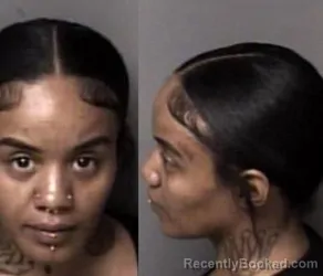 Mugshot of Ashley Anessia-Nelson Anderson