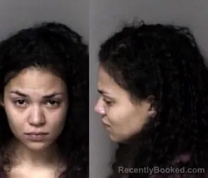 Mugshot of Ashley Diane Bouknight