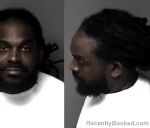 Mugshot of Remone Robinson