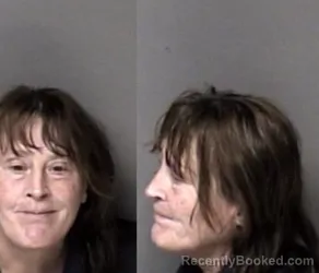 Mugshot of Paula Dionnan Ferguson