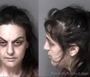 Mugshot of Haley Ann Watson