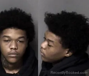 Mugshot of Jatorri Raymond Brown