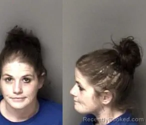 Mugshot of Brittany Alexis Fish