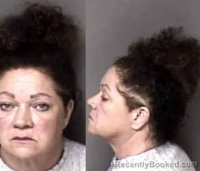 Mugshot of Crystal Diane Holt booked in Gaston County, North Carolina on March 10, 2026