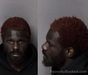 Mugshot of Leotis Breland