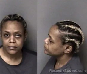 Mugshot of Dashmye Moise booked in Gaston County, North Carolina on March 20, 2026