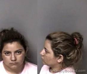 Mugshot of Leyby-Beatriz Portillo-Sandoval booked in Gaston County, North Carolina on March 25, 2026