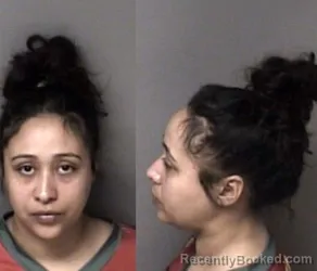 Mugshot of Lizbeth Gonzalez booked in Gaston County, North Carolina on June 14, 2026