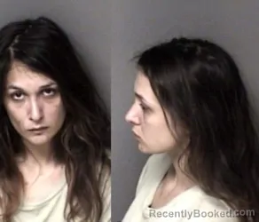 Mugshot of Deja Lynn Bowen booked in Gaston County, North Carolina on May 30, 2026