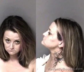 Mugshot of Virginia Craig McGinnis booked in Gaston County, North Carolina on May 31, 2026
