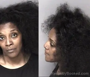 Mugshot of Toni Rochelle Lang booked in Gaston County, North Carolina on May 31, 2026