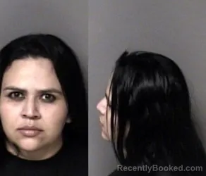 Mugshot of Jennifer Carolina Zeledon-Arauz booked in Gaston County, North Carolina on June 8, 2026