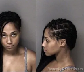 Mugshot of Bianca Danielle Anderson booked in Gaston County, North Carolina on June 8, 2026