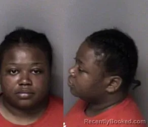 Mugshot of Porshe Marie Adams booked in Gaston County, North Carolina on June 11, 2026