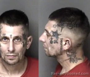 Mugshot of Cecil Brandon Hester booked in Gaston County, North Carolina on June 13, 2026