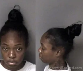 Mugshot of La'shell De'Cassandra Perry booked in Gaston County, North Carolina on June 16, 2026