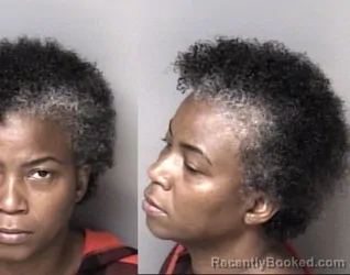 Mugshot of Rasheedah Paige booked in Gaston County, North Carolina on June 17, 2026