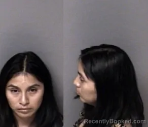 Mugshot of Perla Marina Ajanel-Hernandez booked in Gaston County, North Carolina on June 19, 2026